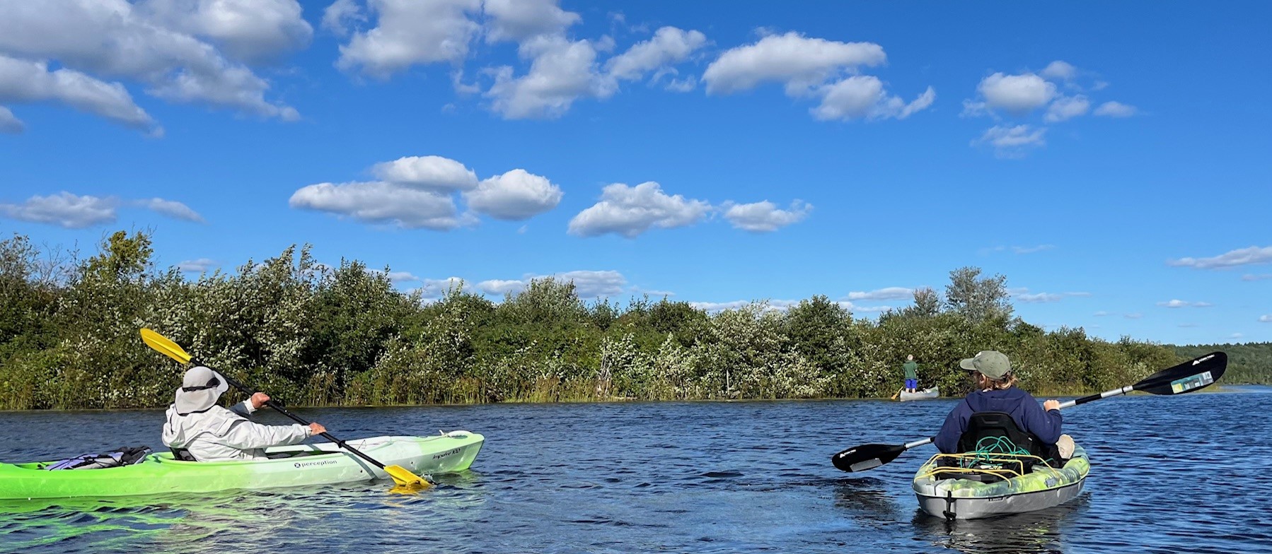 Plant Paddle on Knickerbocker Lake